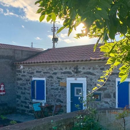 Casa Do Priolo - Villaverde Azores Feteiras Ngoại thất bức ảnh