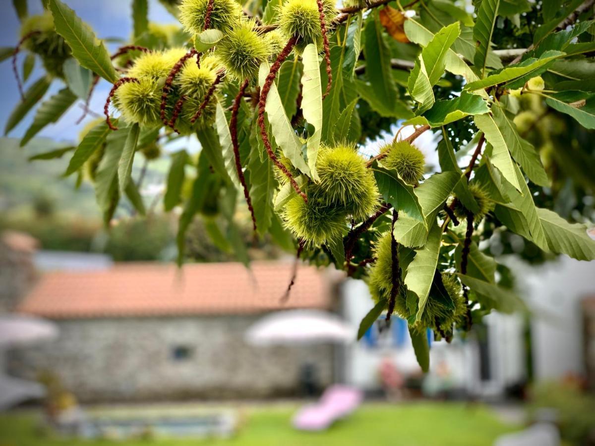 Casa Do Priolo - Villaverde Azores Feteiras Ngoại thất bức ảnh