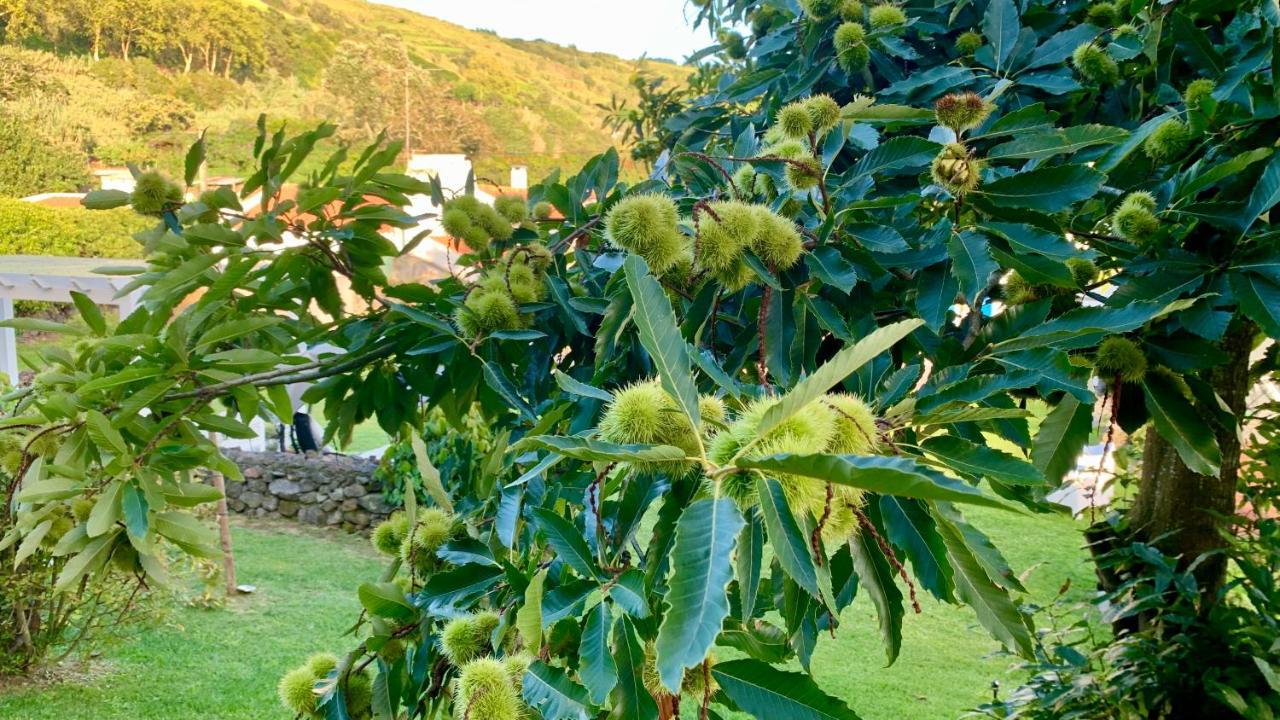 Casa Do Priolo - Villaverde Azores Feteiras Ngoại thất bức ảnh